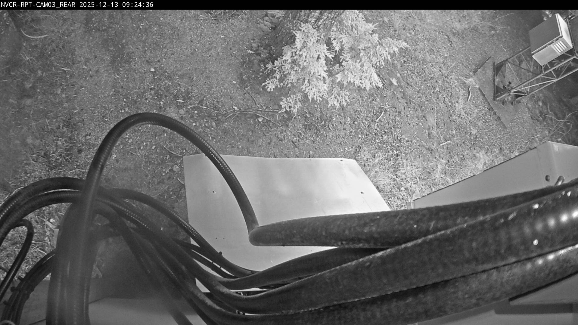 Web Cam History Image - 223