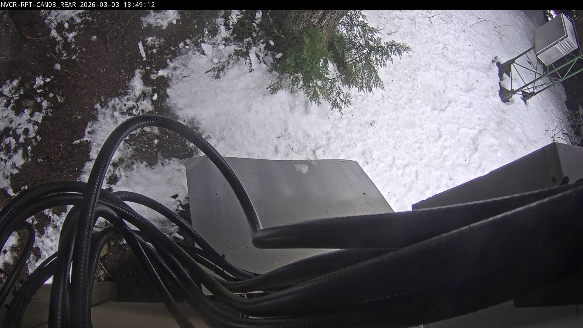 Web Cam History Image - 223