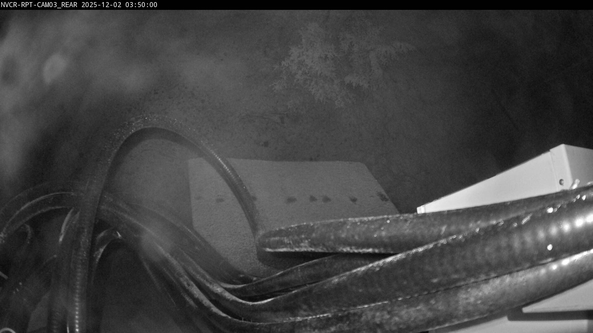 Web Cam History Image - 225