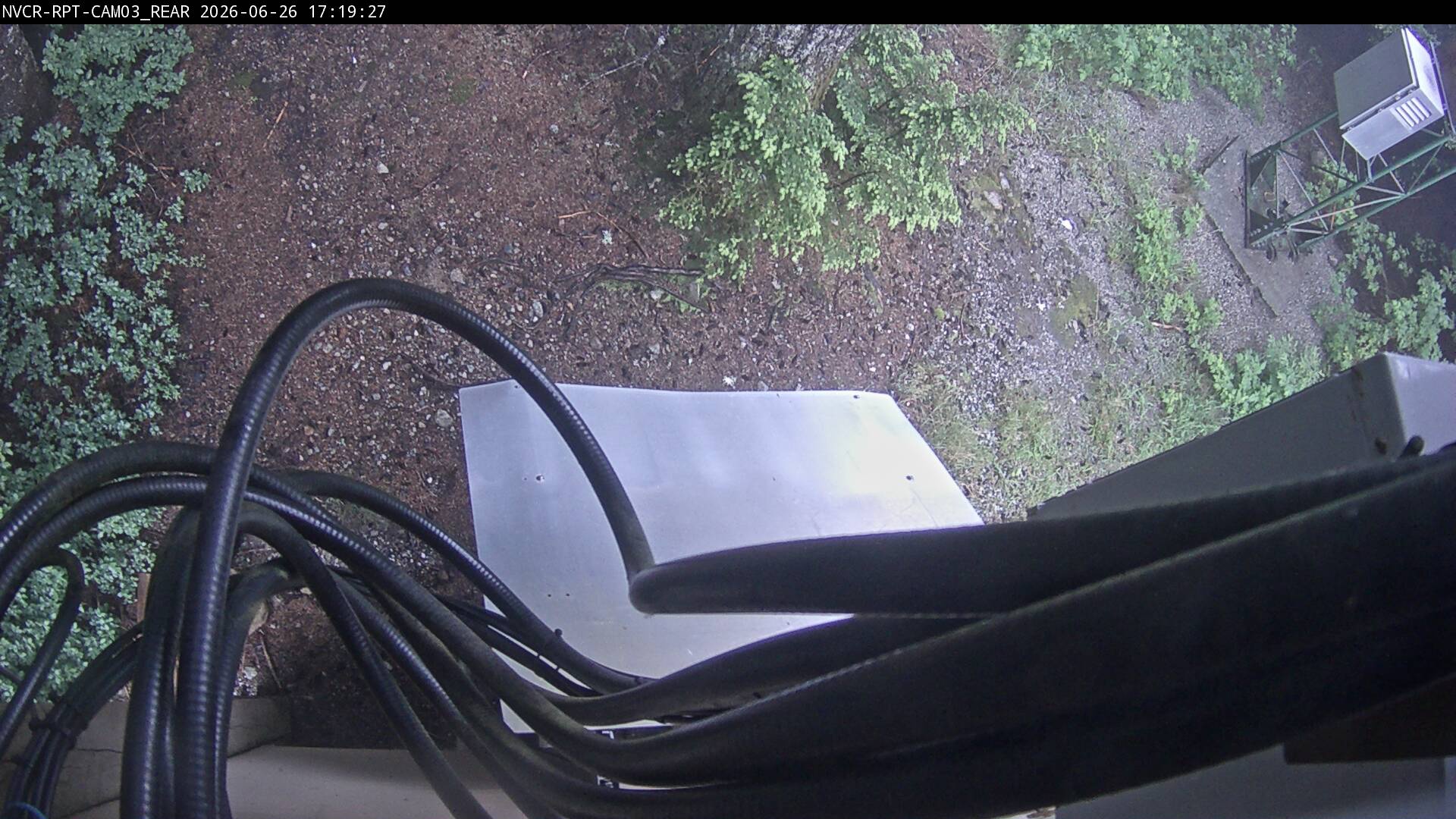 Web Cam History Image - 225
