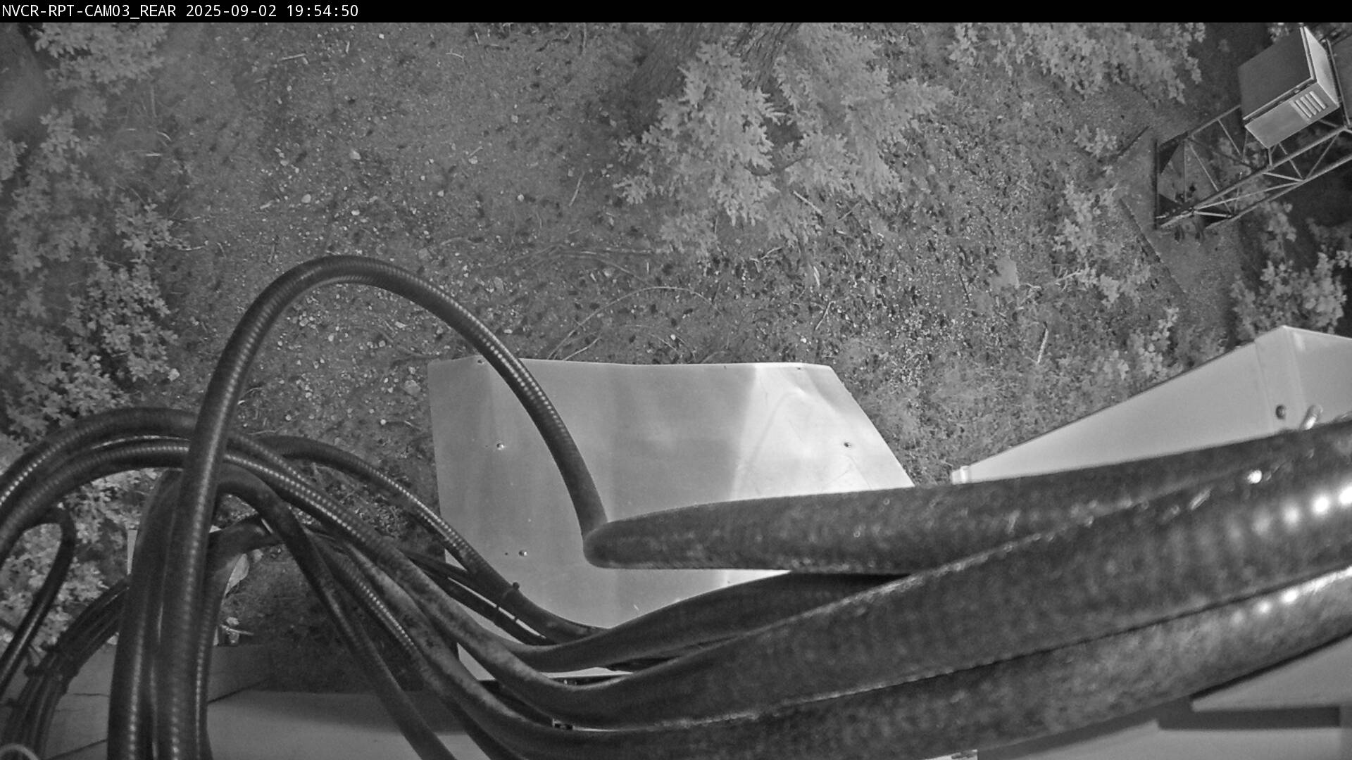 Web Cam History Image - 226
