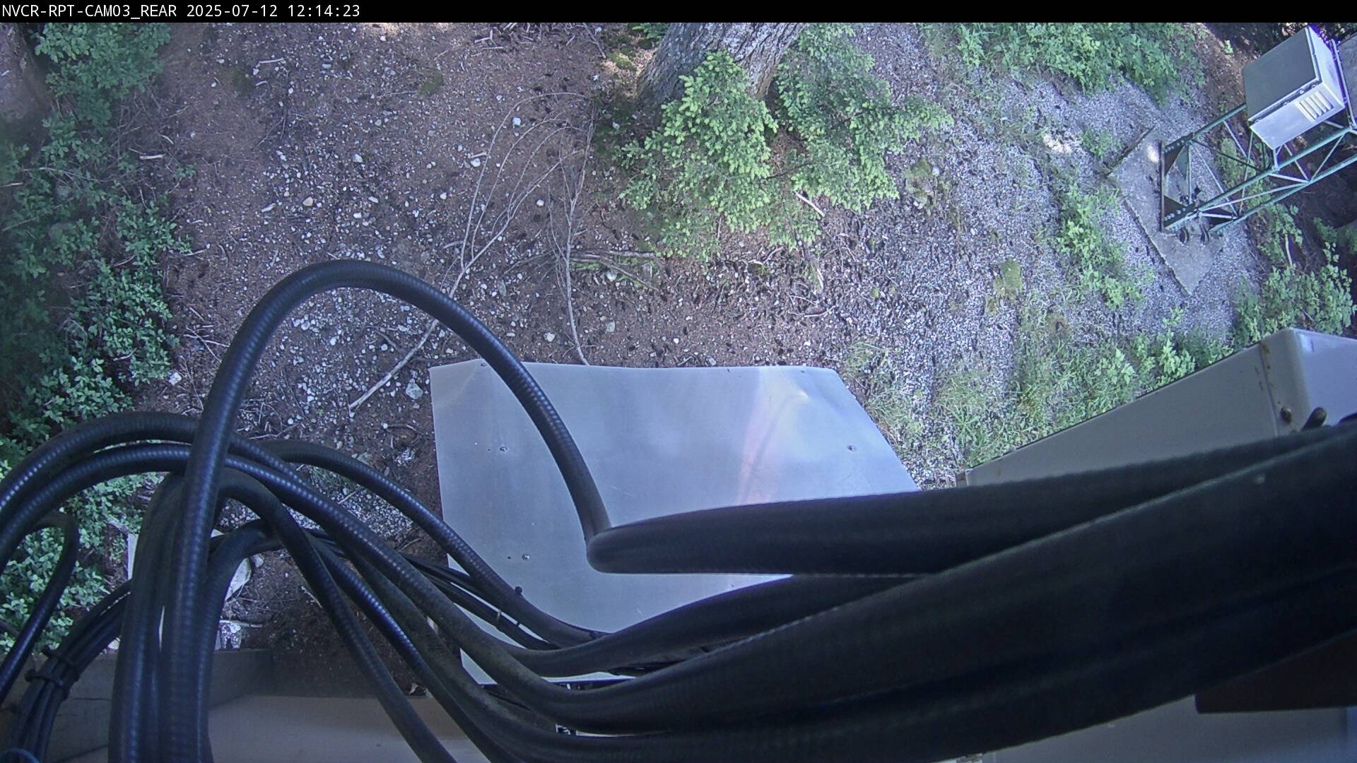 Web Cam History Image - 227