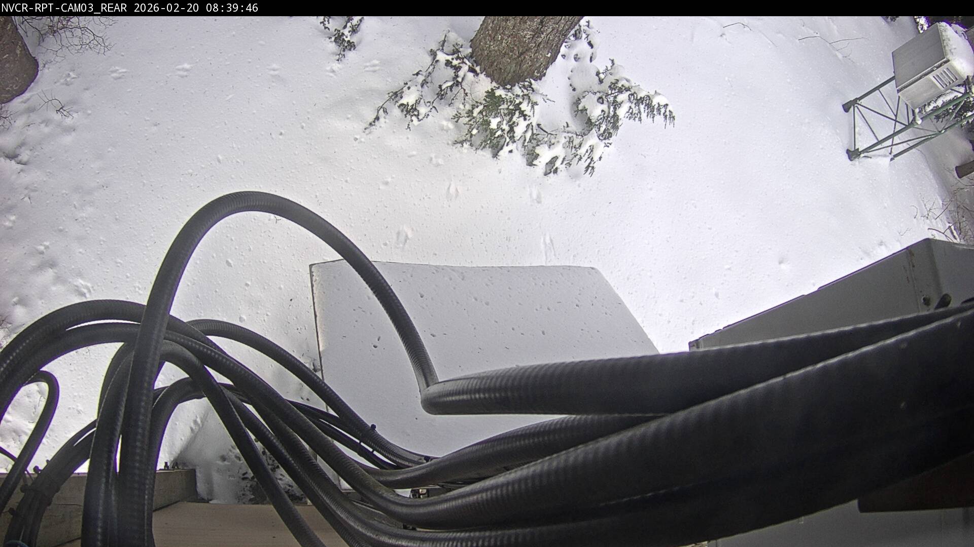 Web Cam History Image - 227