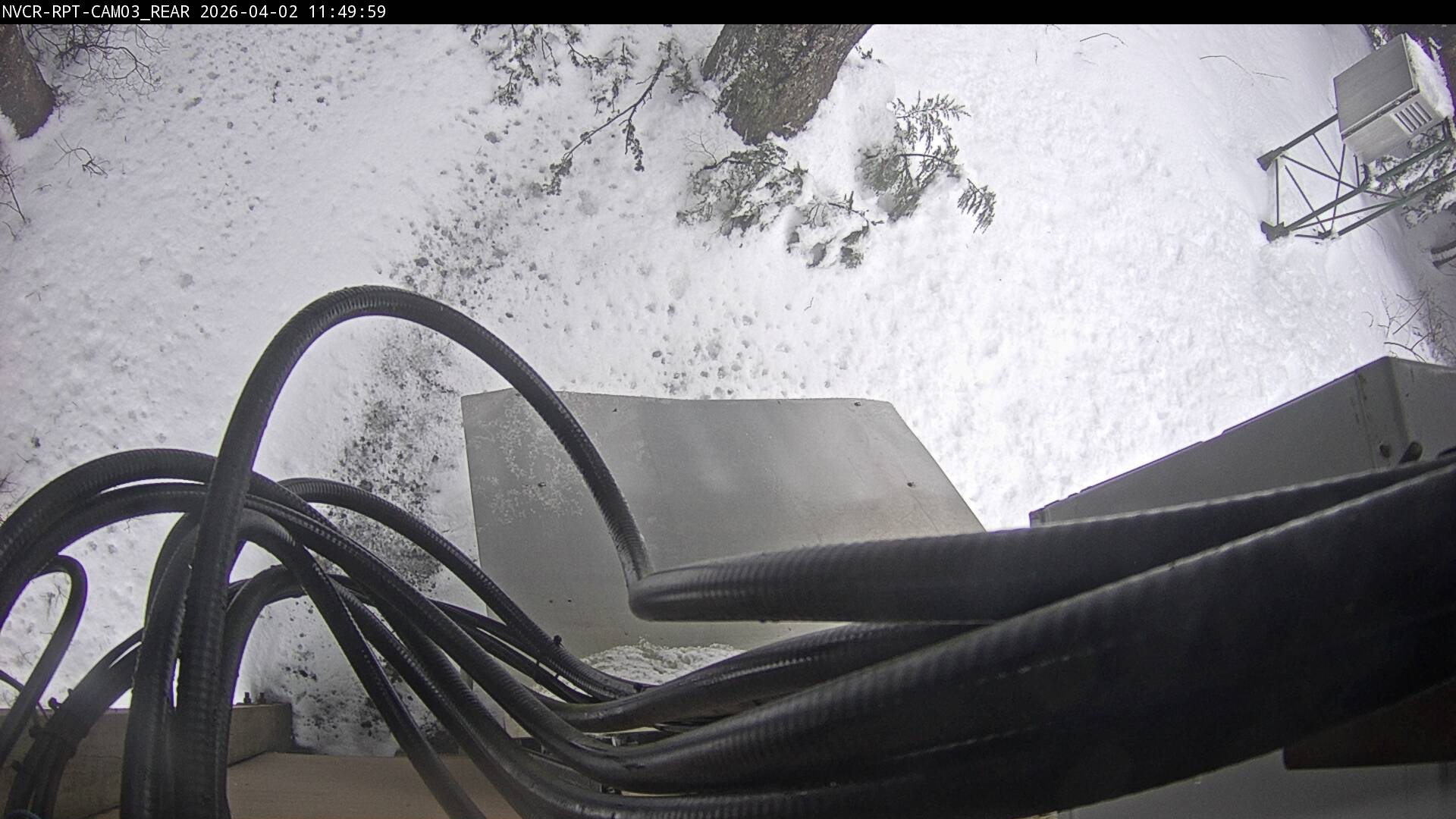 Web Cam History Image - 227