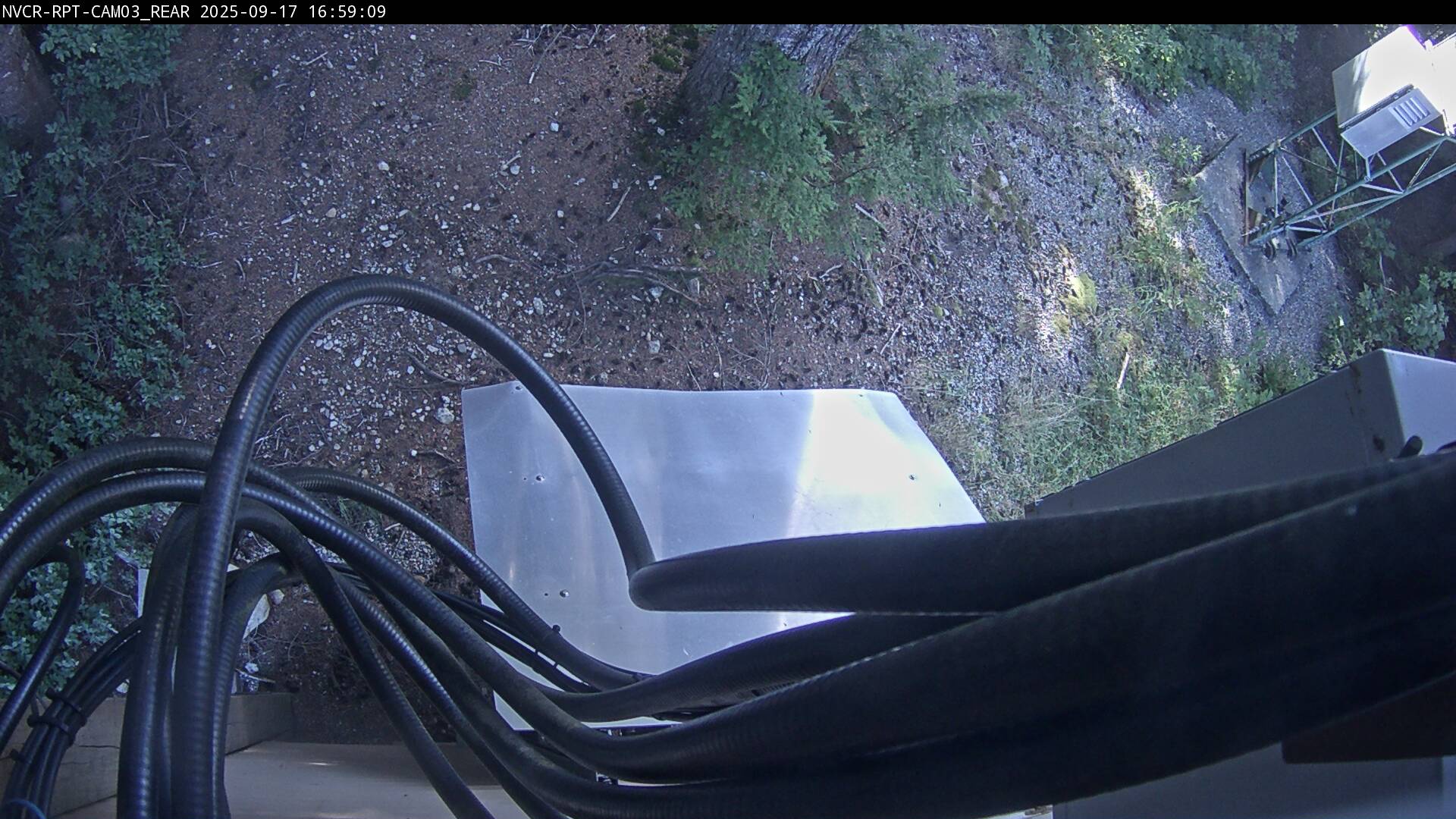 Web Cam History Image - 228