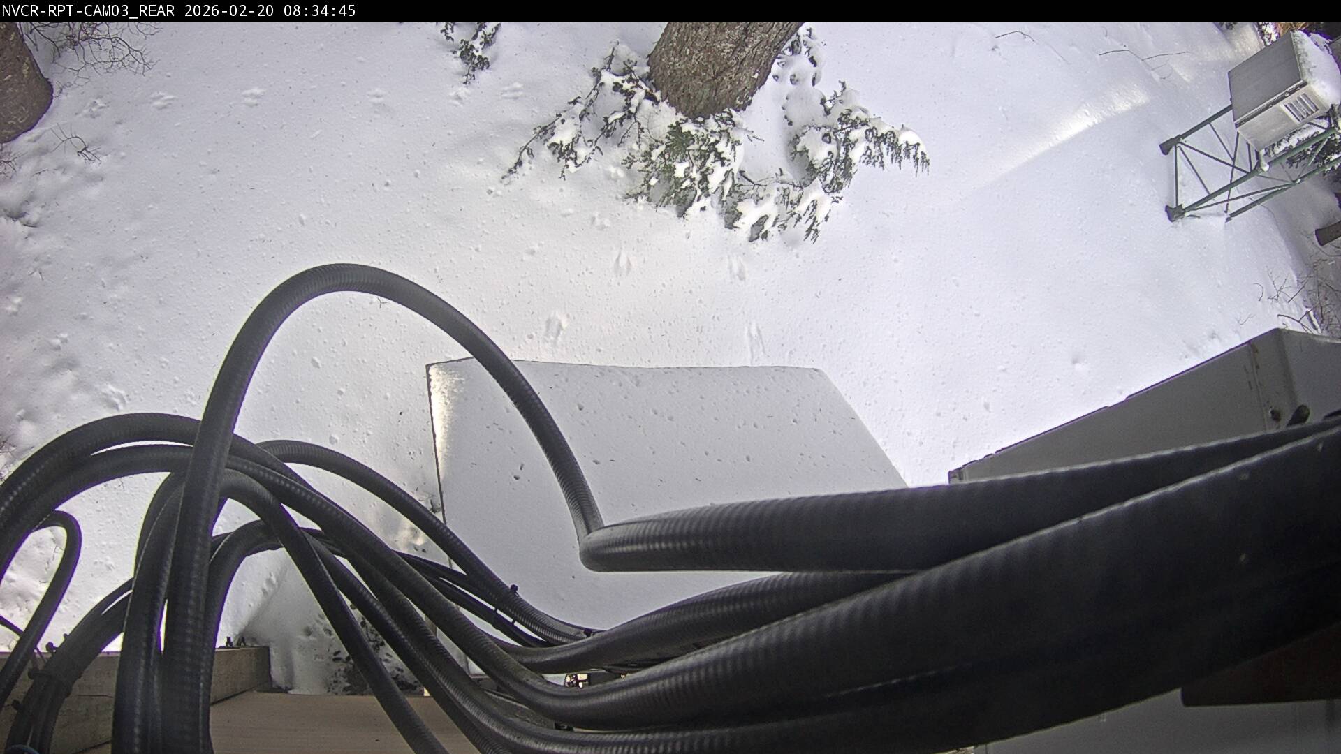 Web Cam History Image - 228