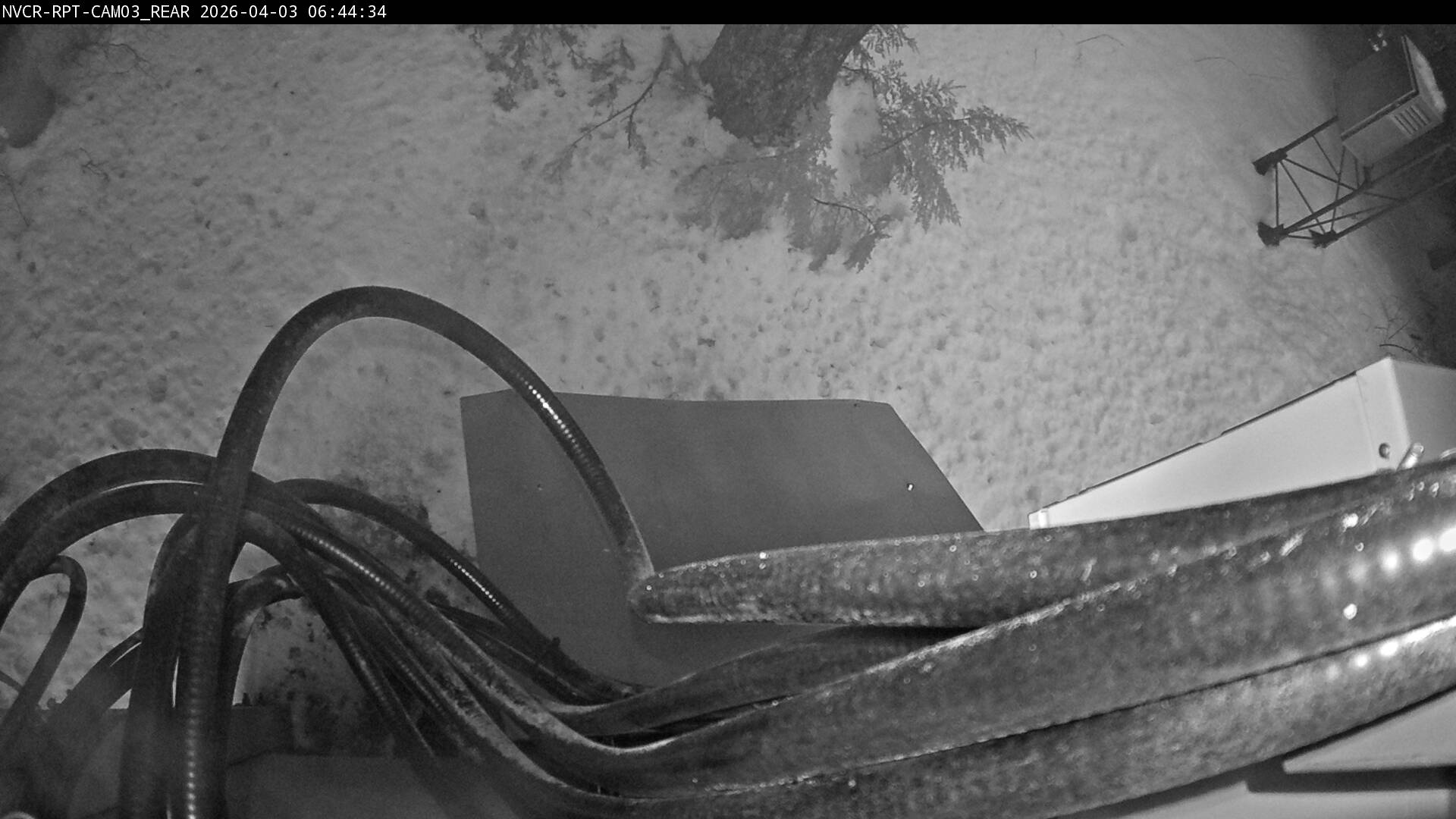 Web Cam History Image - 228