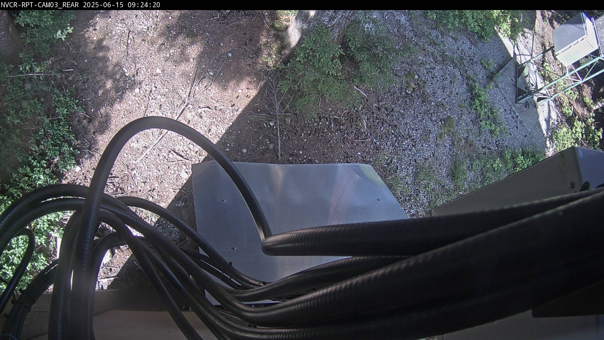 Web Cam History Image - 230