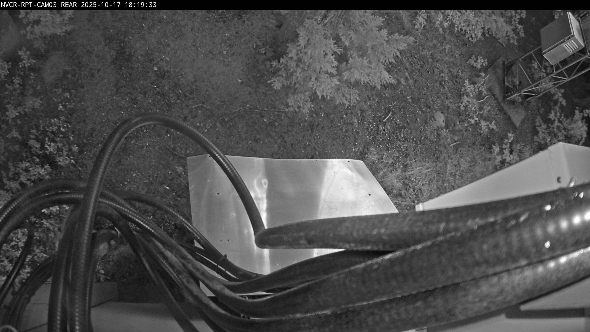 Web Cam History Image - 230