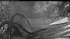 Web Cam Image - Fri, 08/07/2026 4:44am PDT