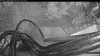 Web Cam Image - Fri, 10/16/2026 6:39am PDT