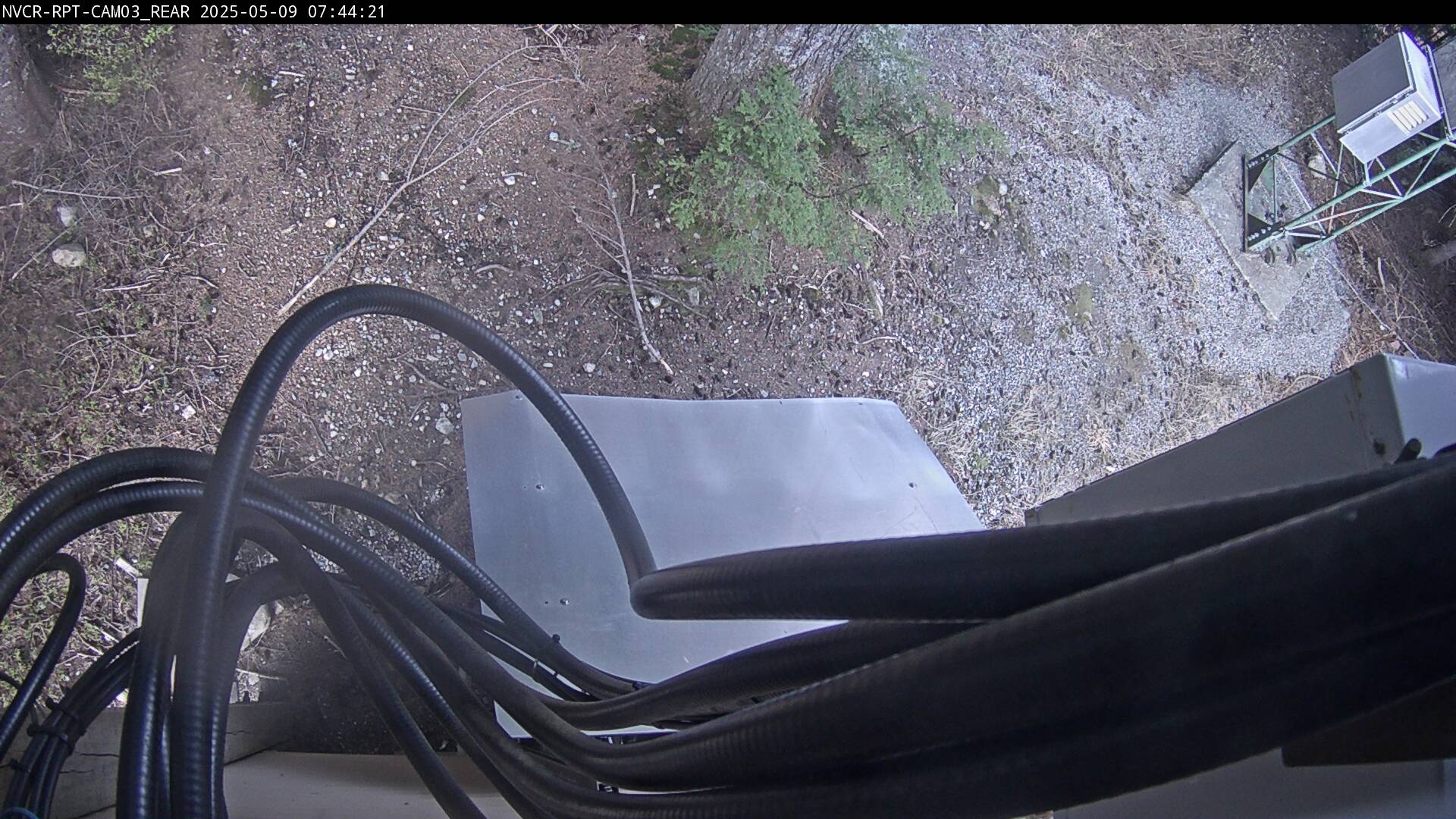 Web Cam History Image - 24