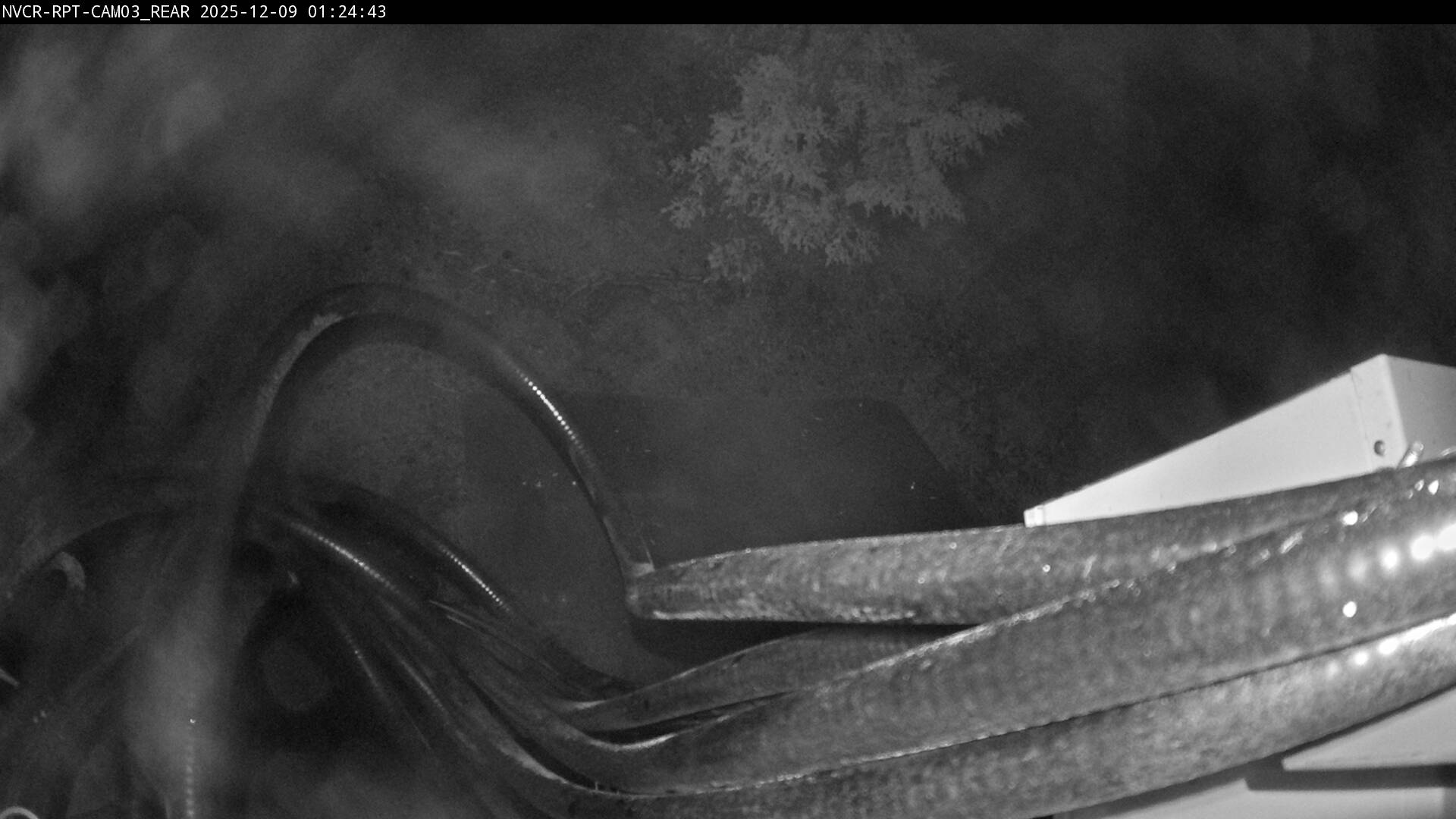 Web Cam History Image - 24