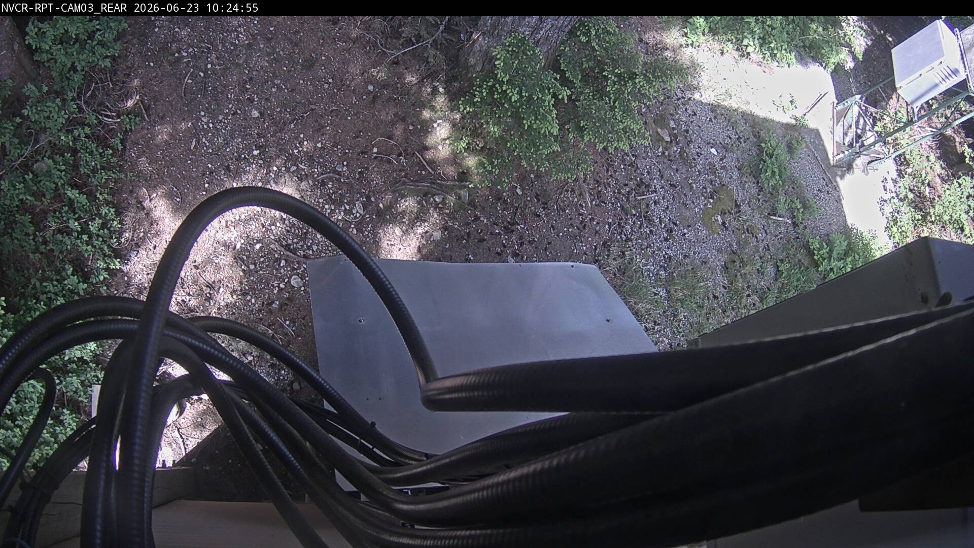 Web Cam History Image - 24
