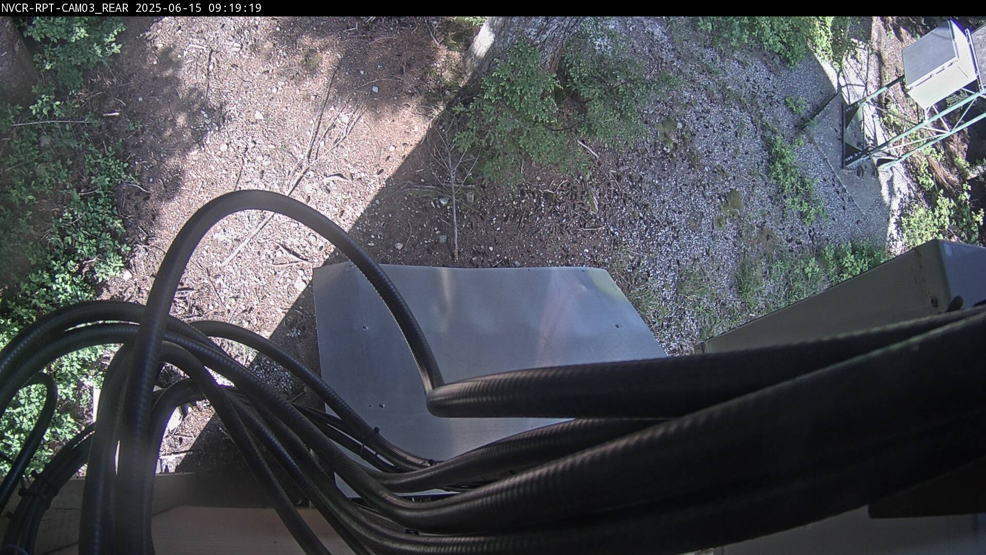 Web Cam History Image - 231