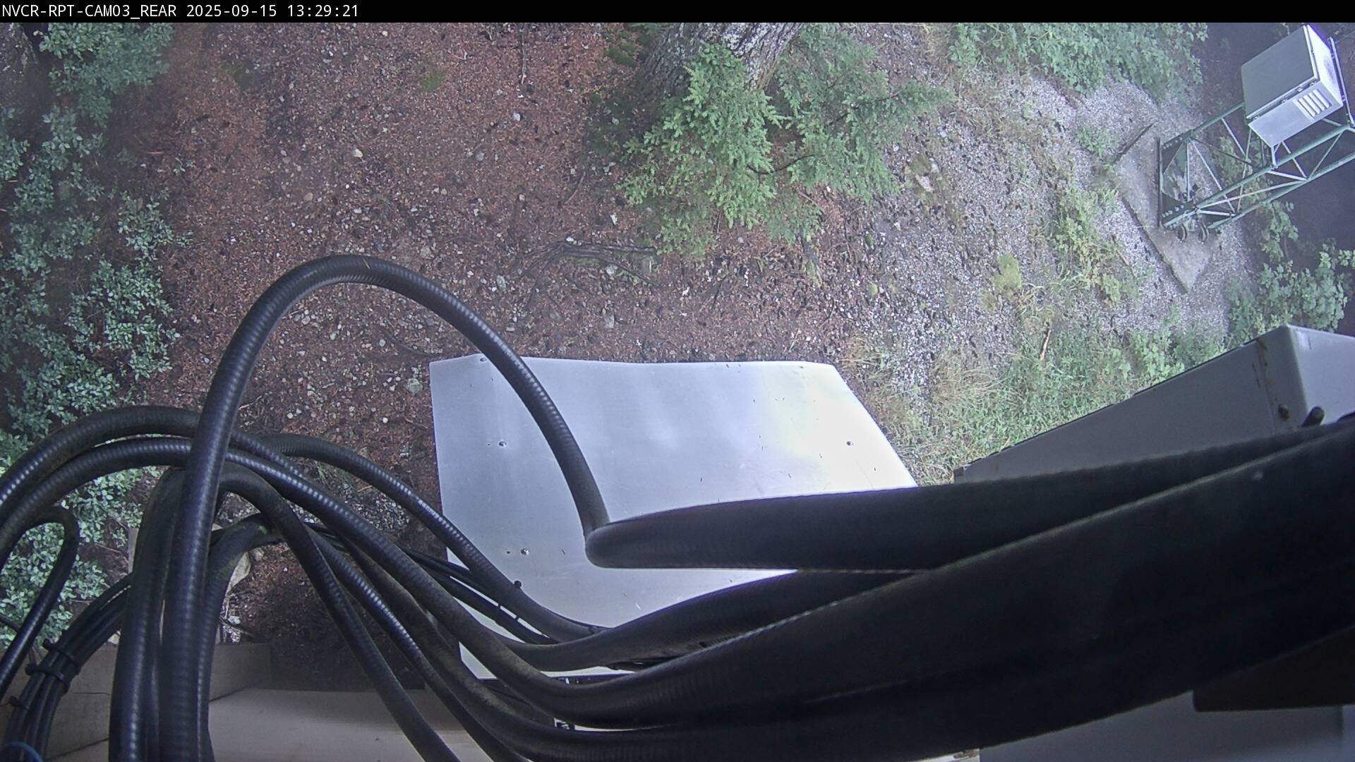 Web Cam History Image - 231
