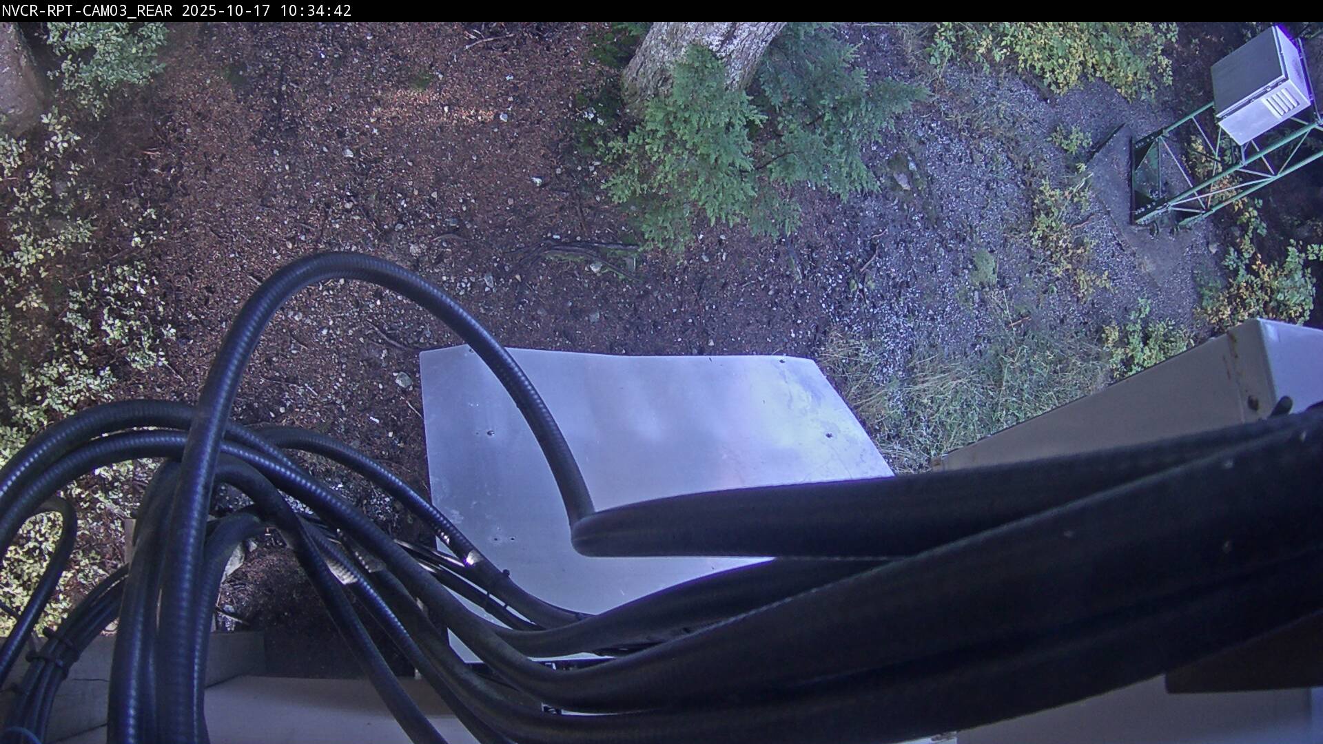 Web Cam History Image - 231