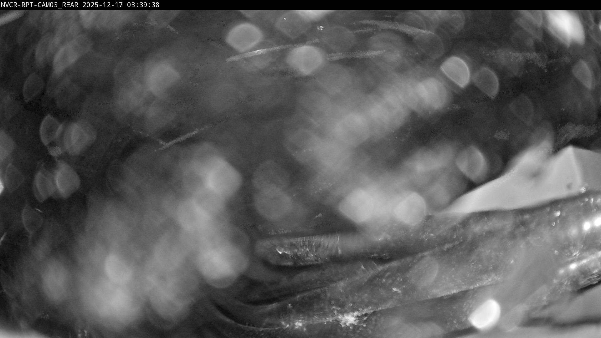 Web Cam History Image - 231