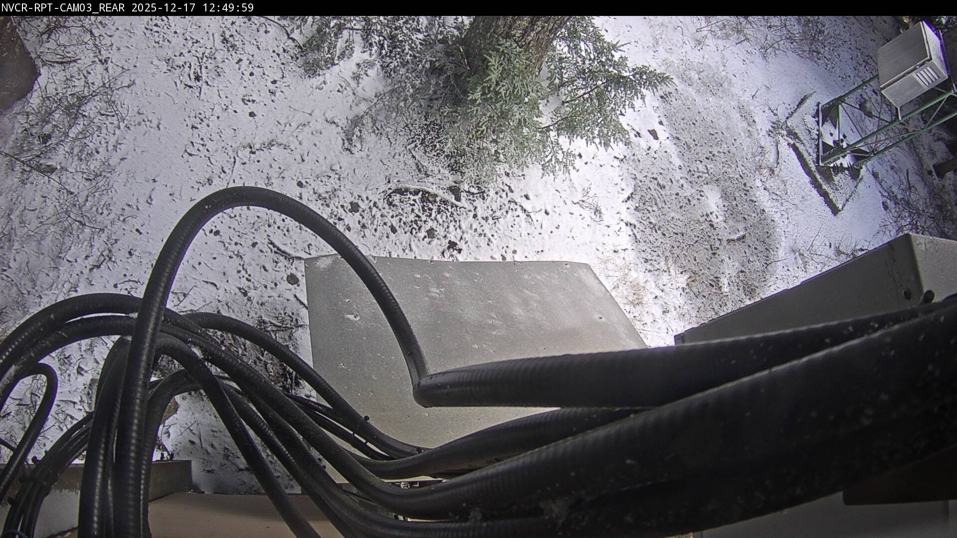 Web Cam History Image - 231