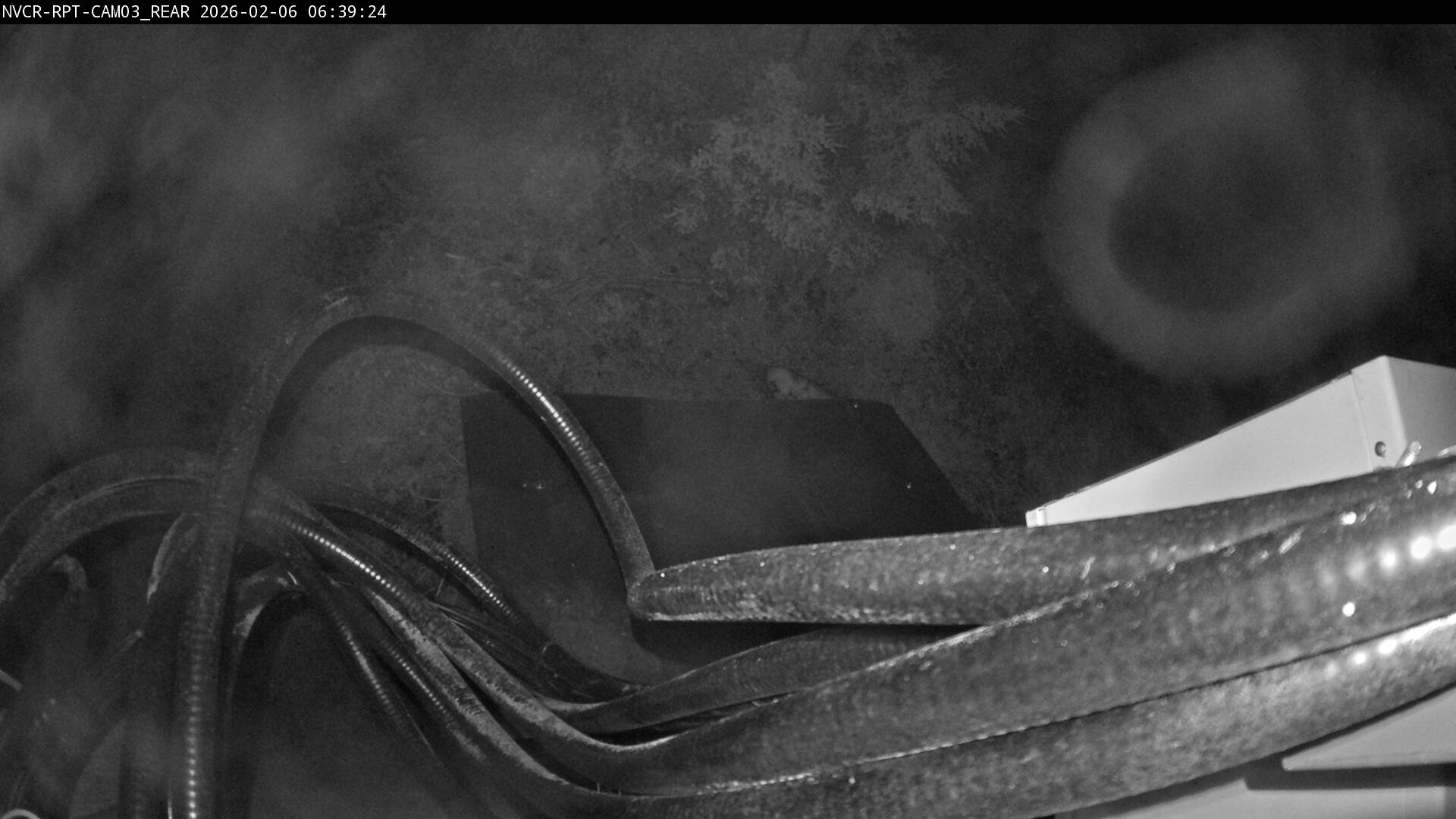 Web Cam History Image - 231