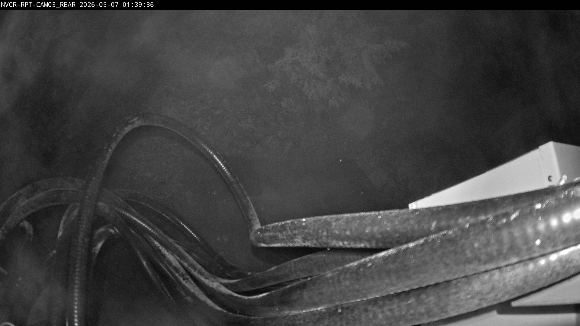 Web Cam History Image - 231