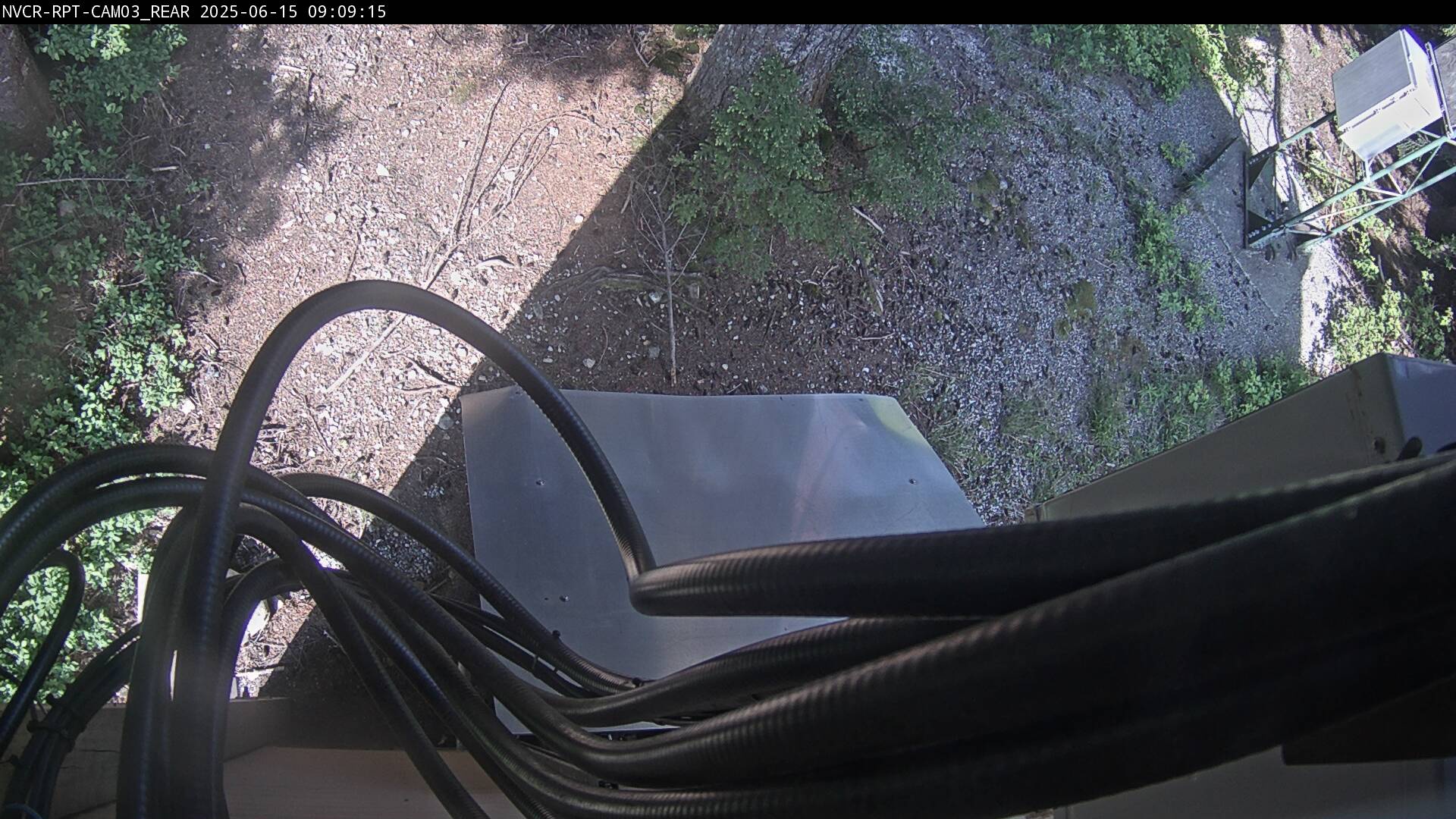 Web Cam History Image - 232