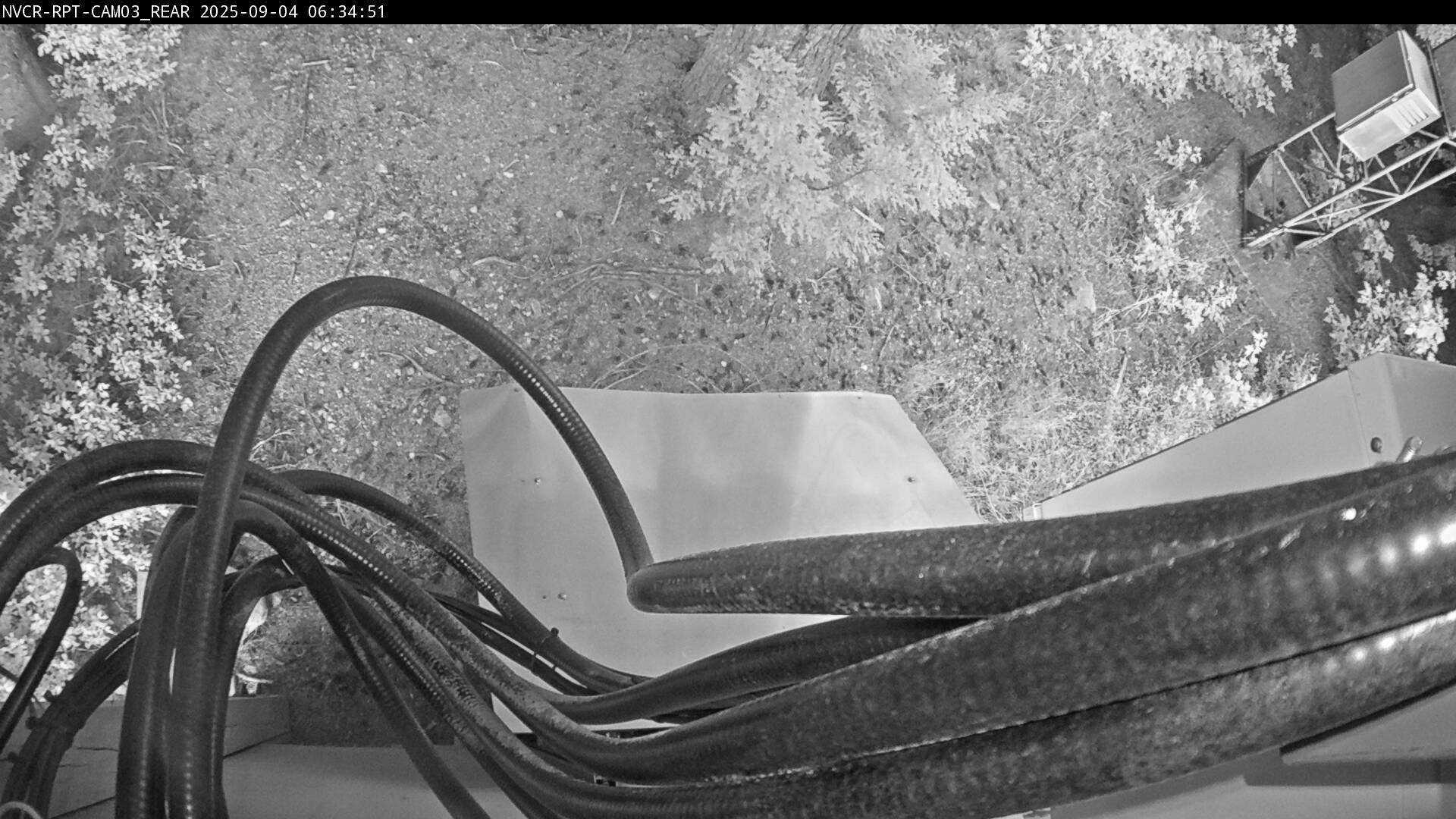 Web Cam History Image - 232