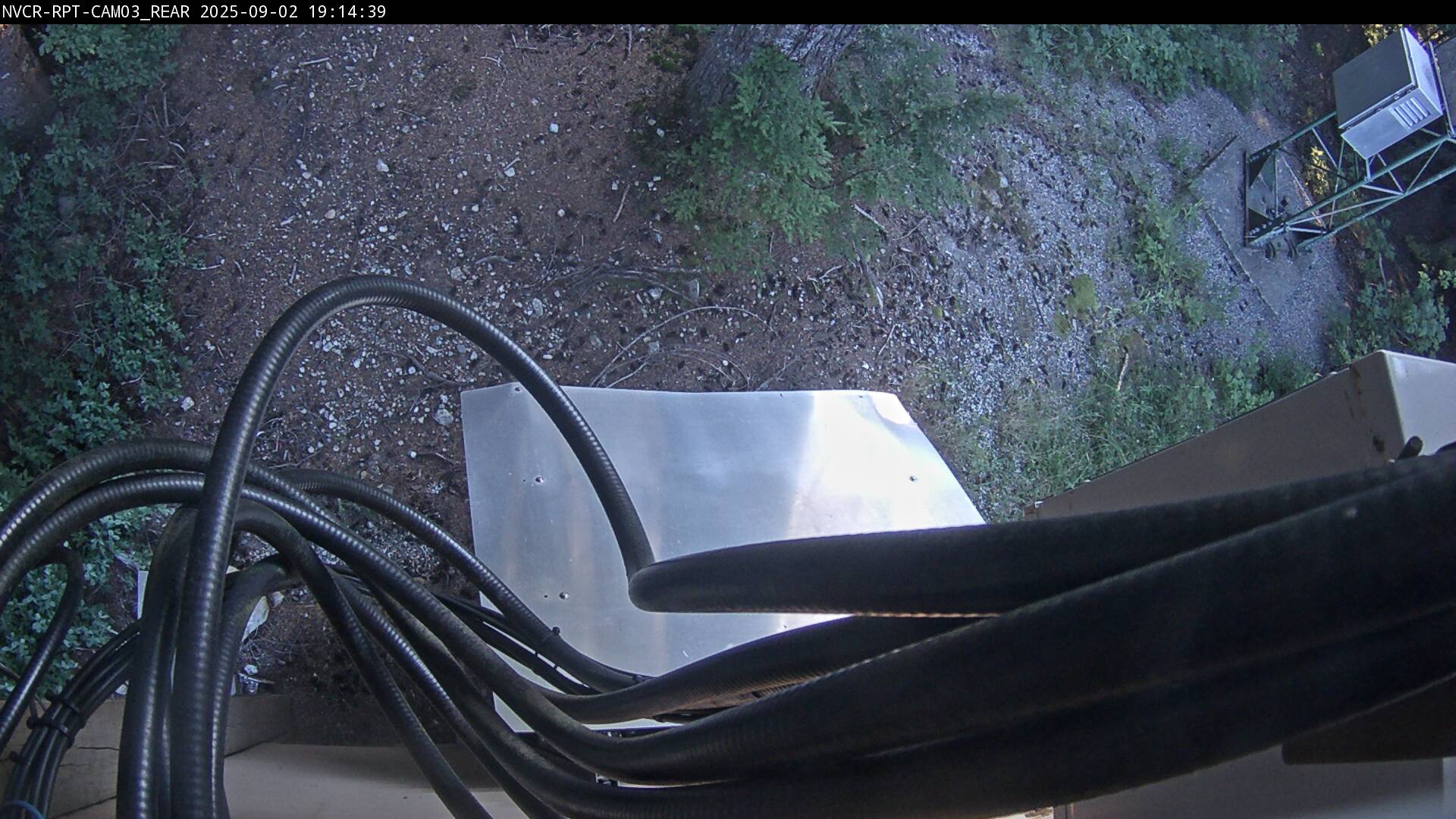 Web Cam History Image - 233