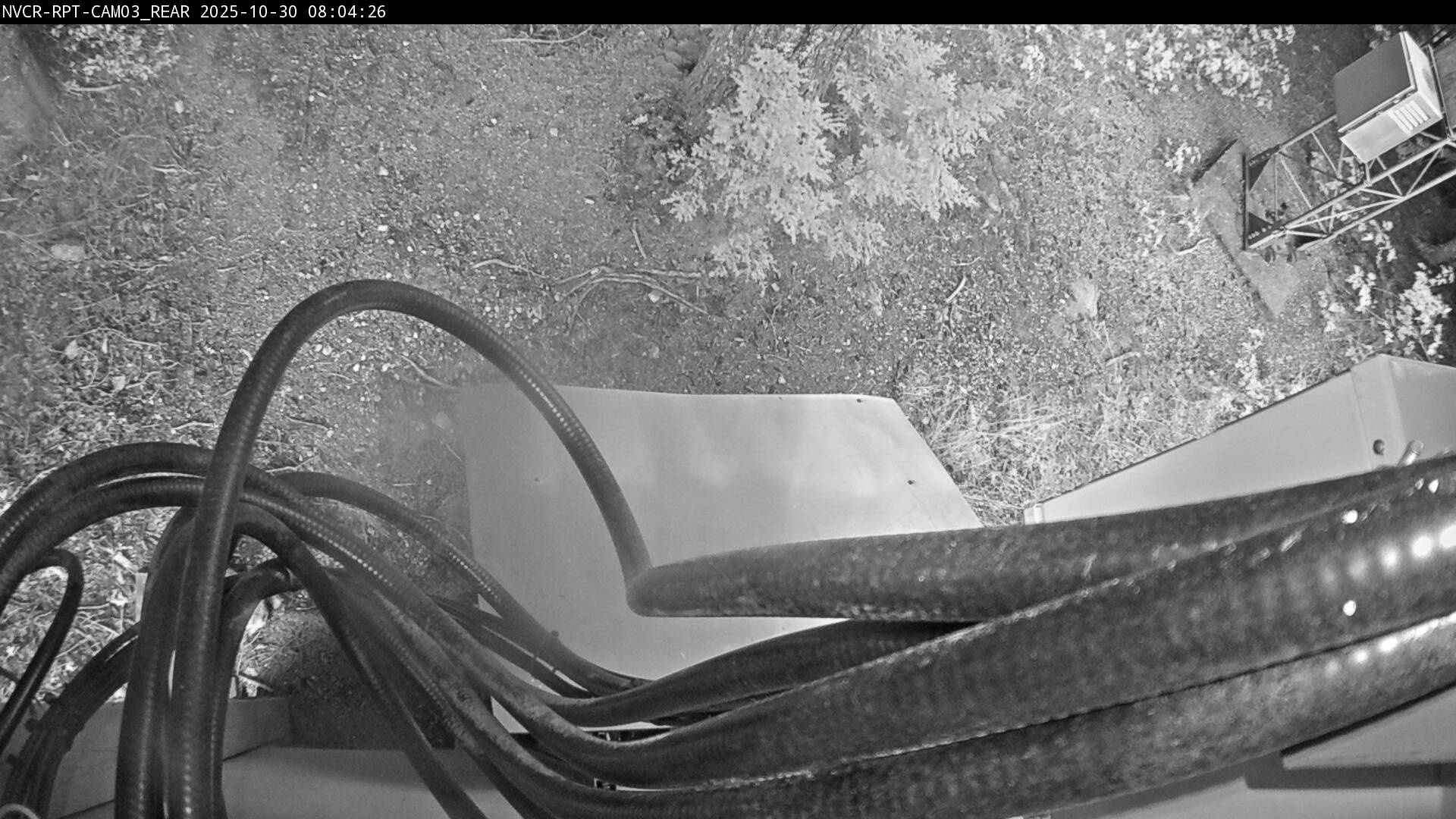 Web Cam History Image - 233