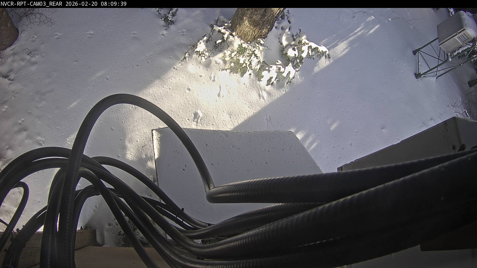 Web Cam History Image - 233