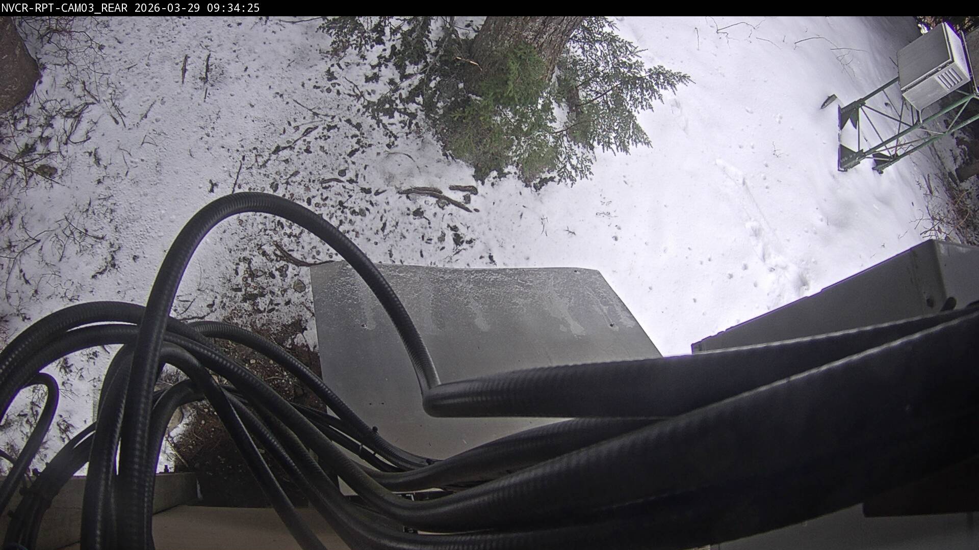 Web Cam History Image - 233