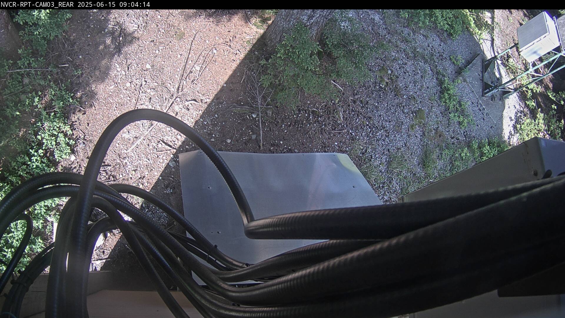 Web Cam History Image - 234