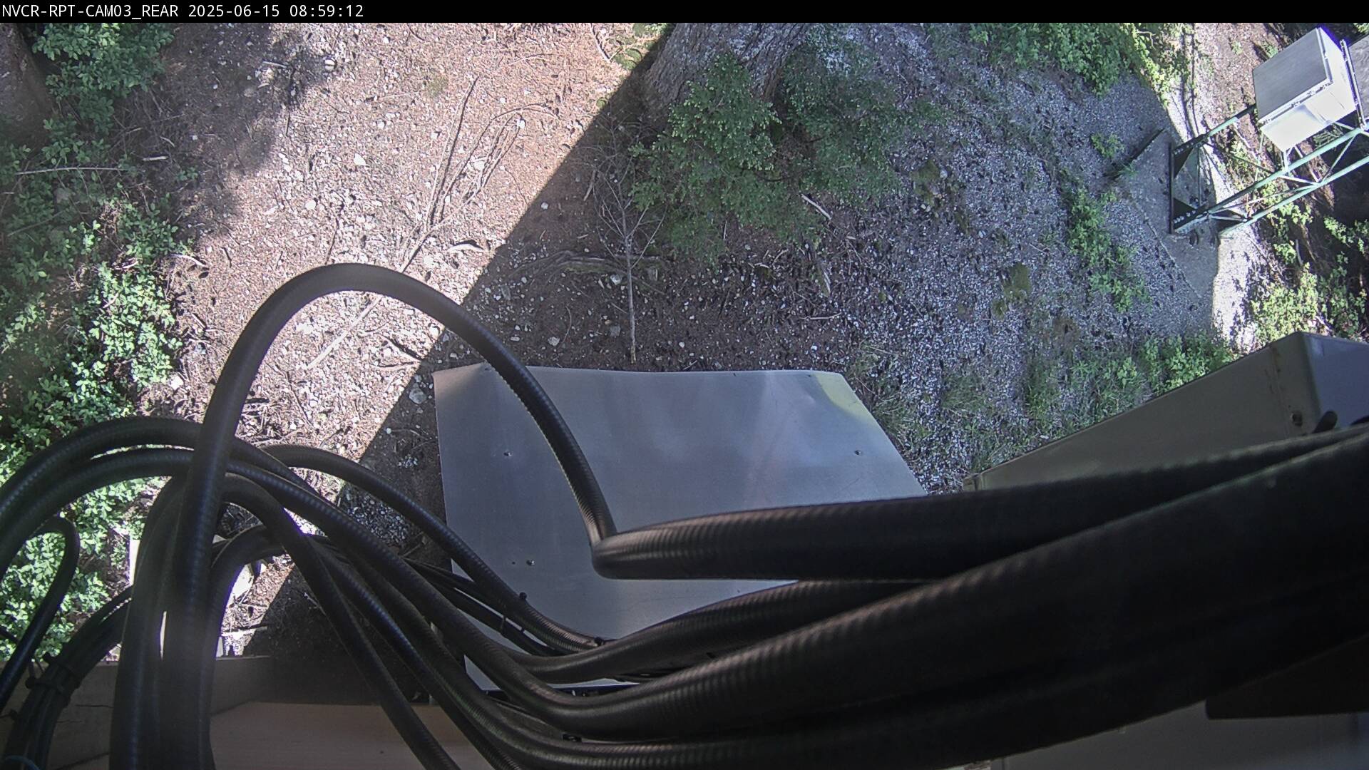 Web Cam History Image - 235