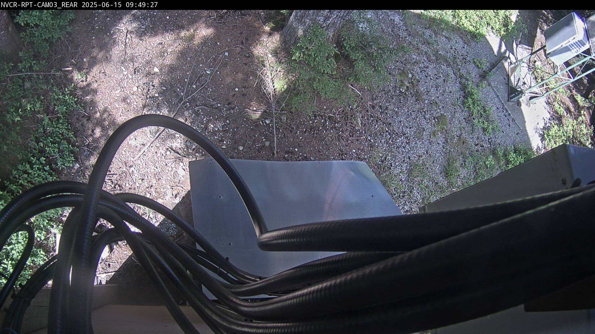 Web Cam History Image - 237
