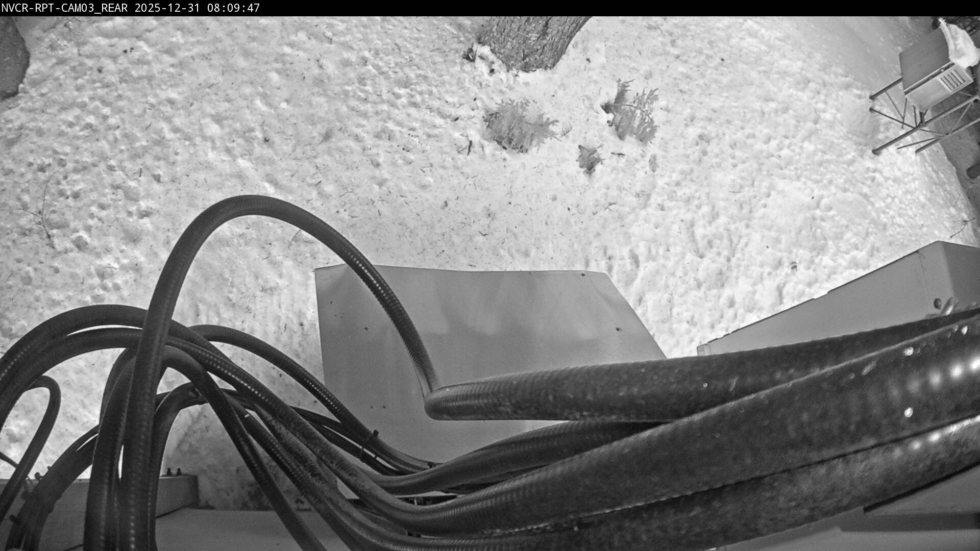 Web Cam History Image - 237