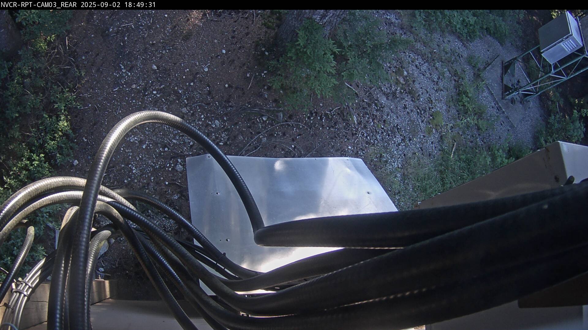 Web Cam History Image - 238