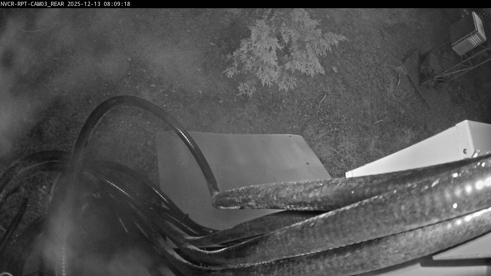 Web Cam History Image - 238