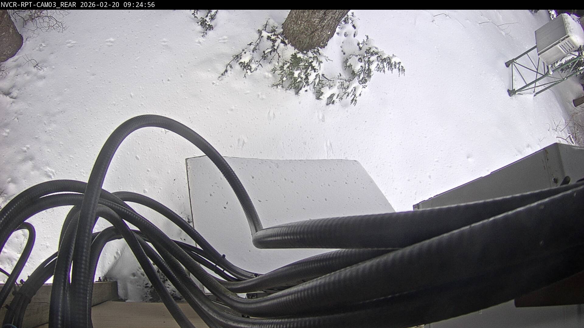 Web Cam History Image - 238