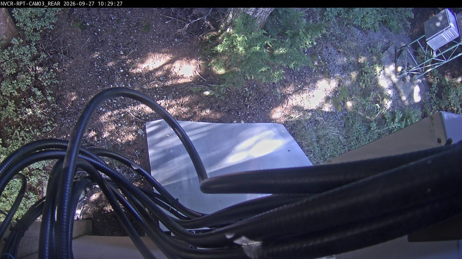 Web Cam History Image - 238
