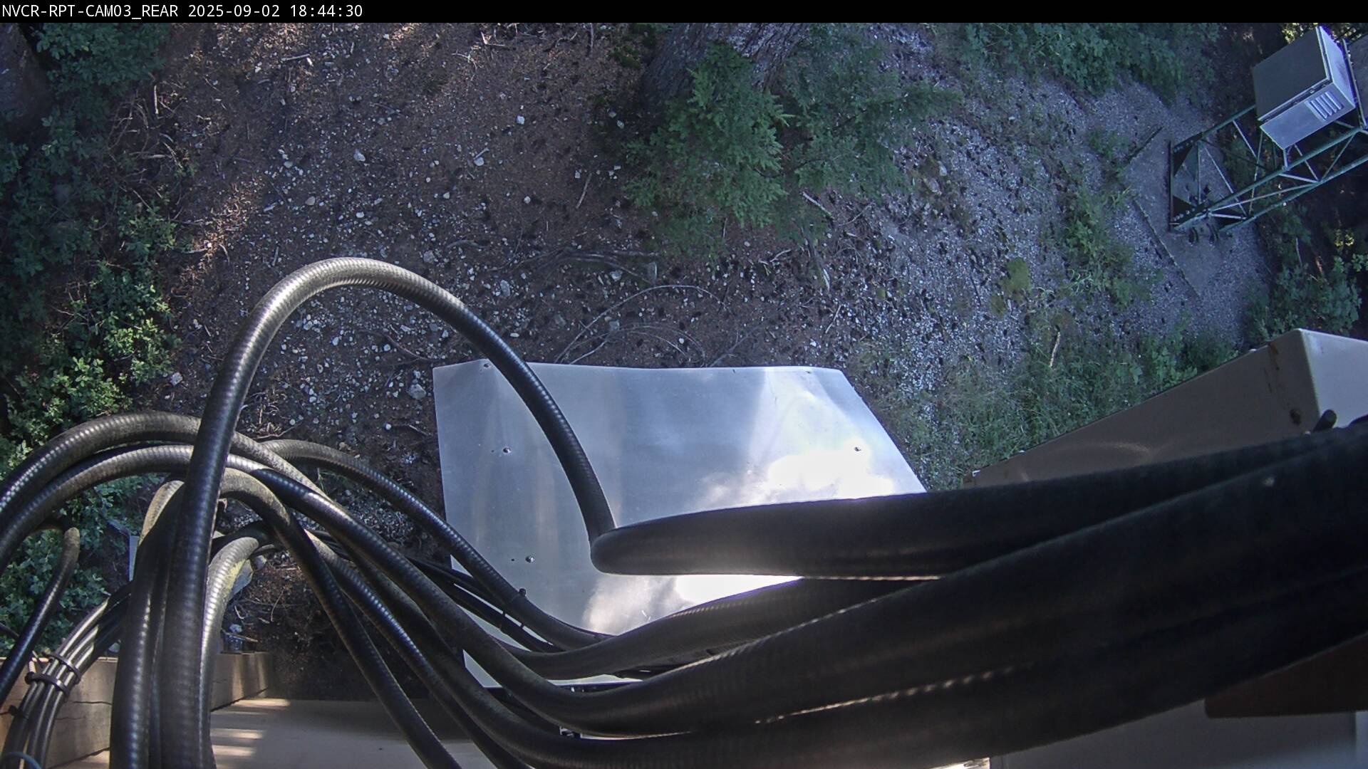 Web Cam History Image - 239