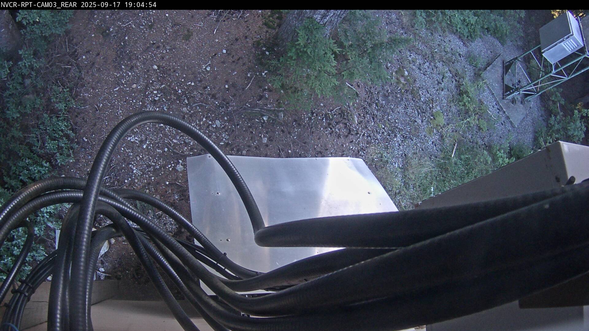 Web Cam History Image - 239