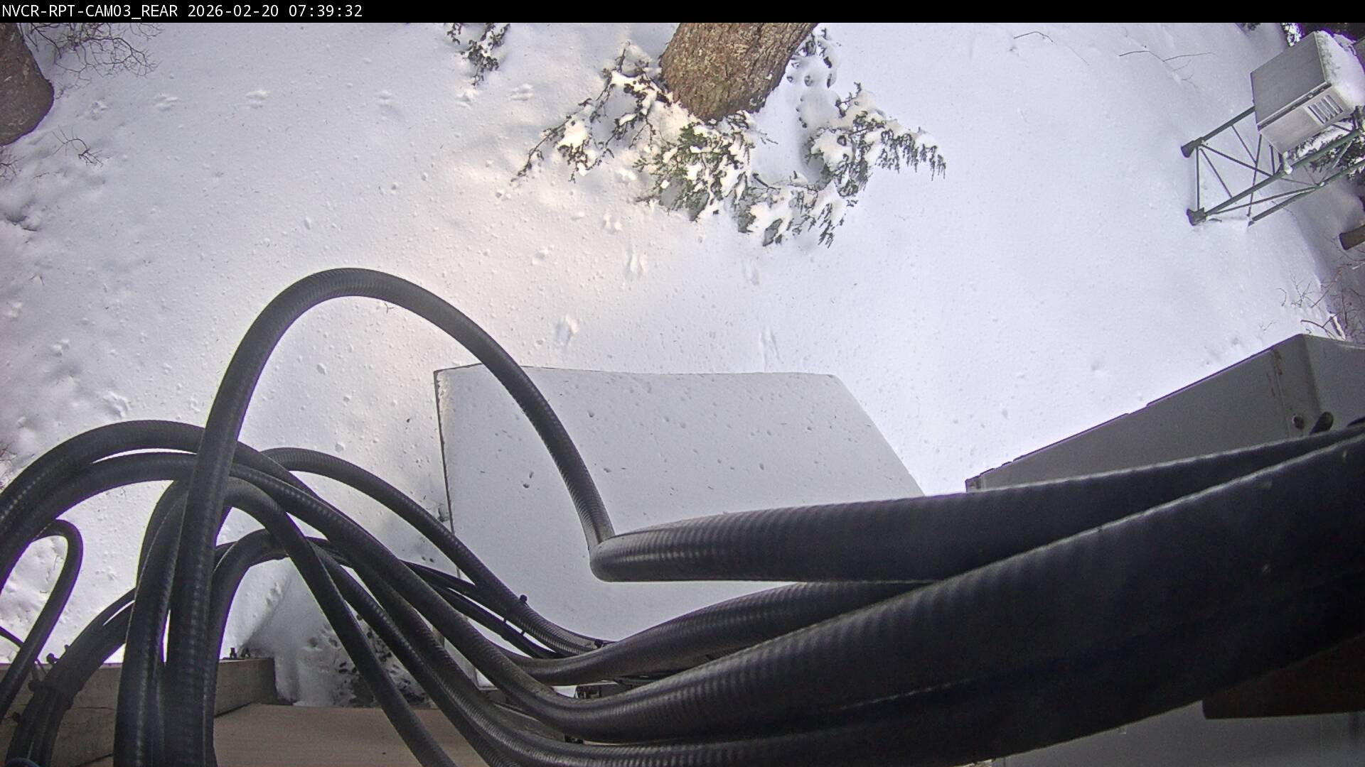 Web Cam History Image - 239