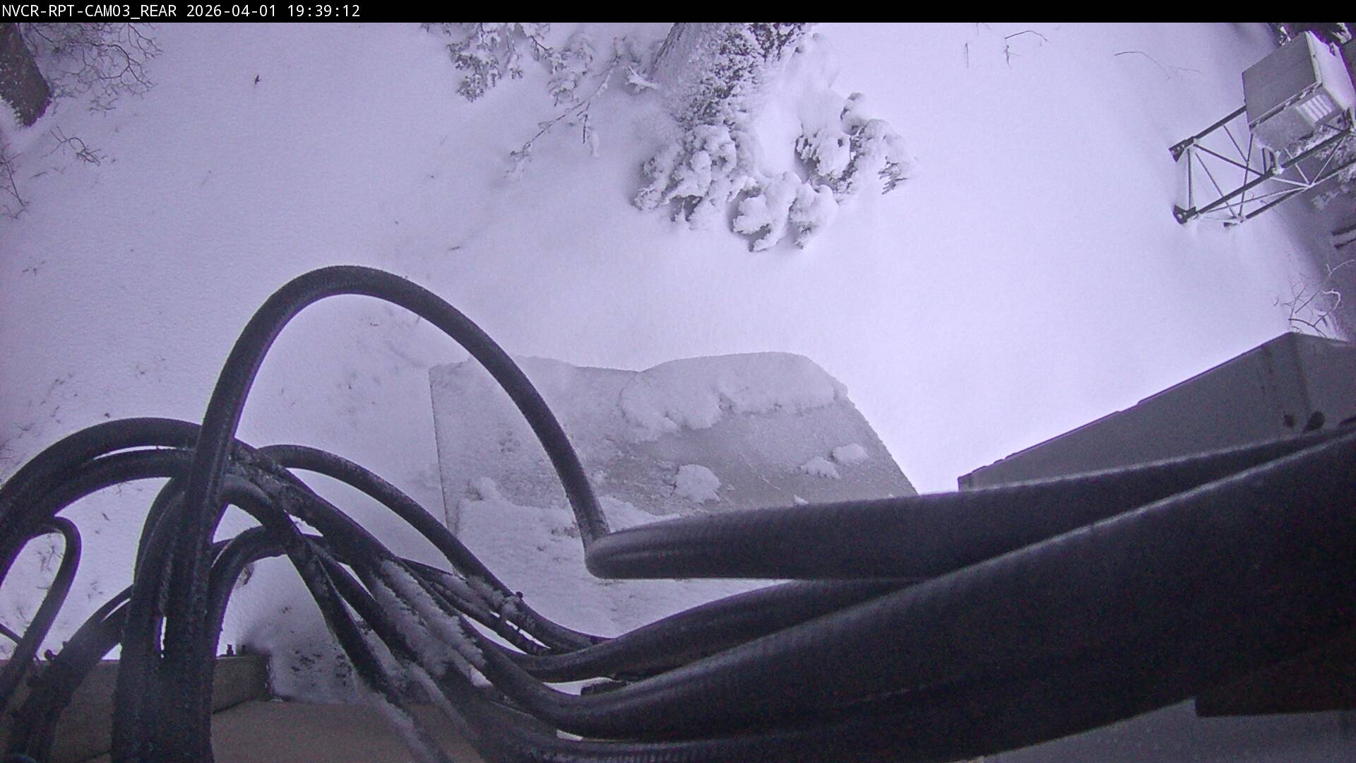 Web Cam History Image - 239