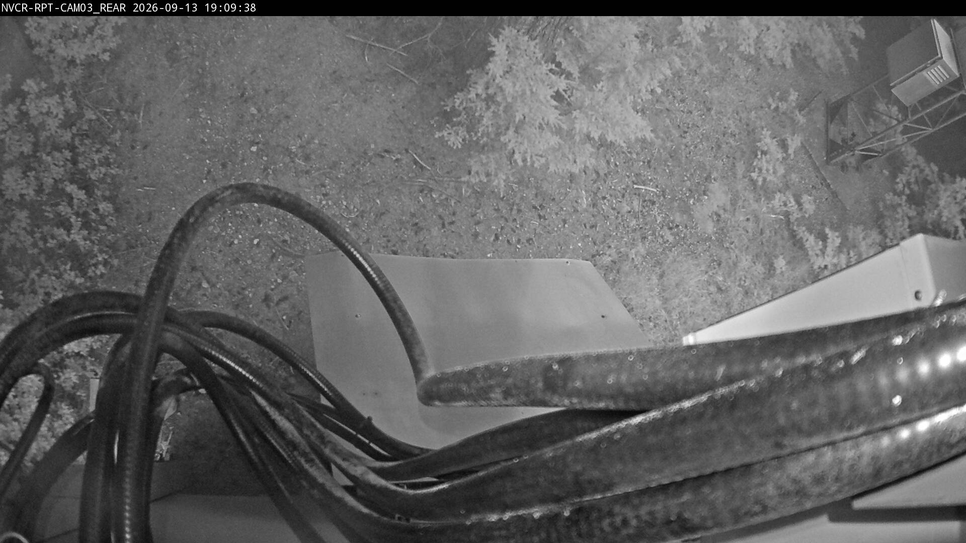 Web Cam History Image - 239