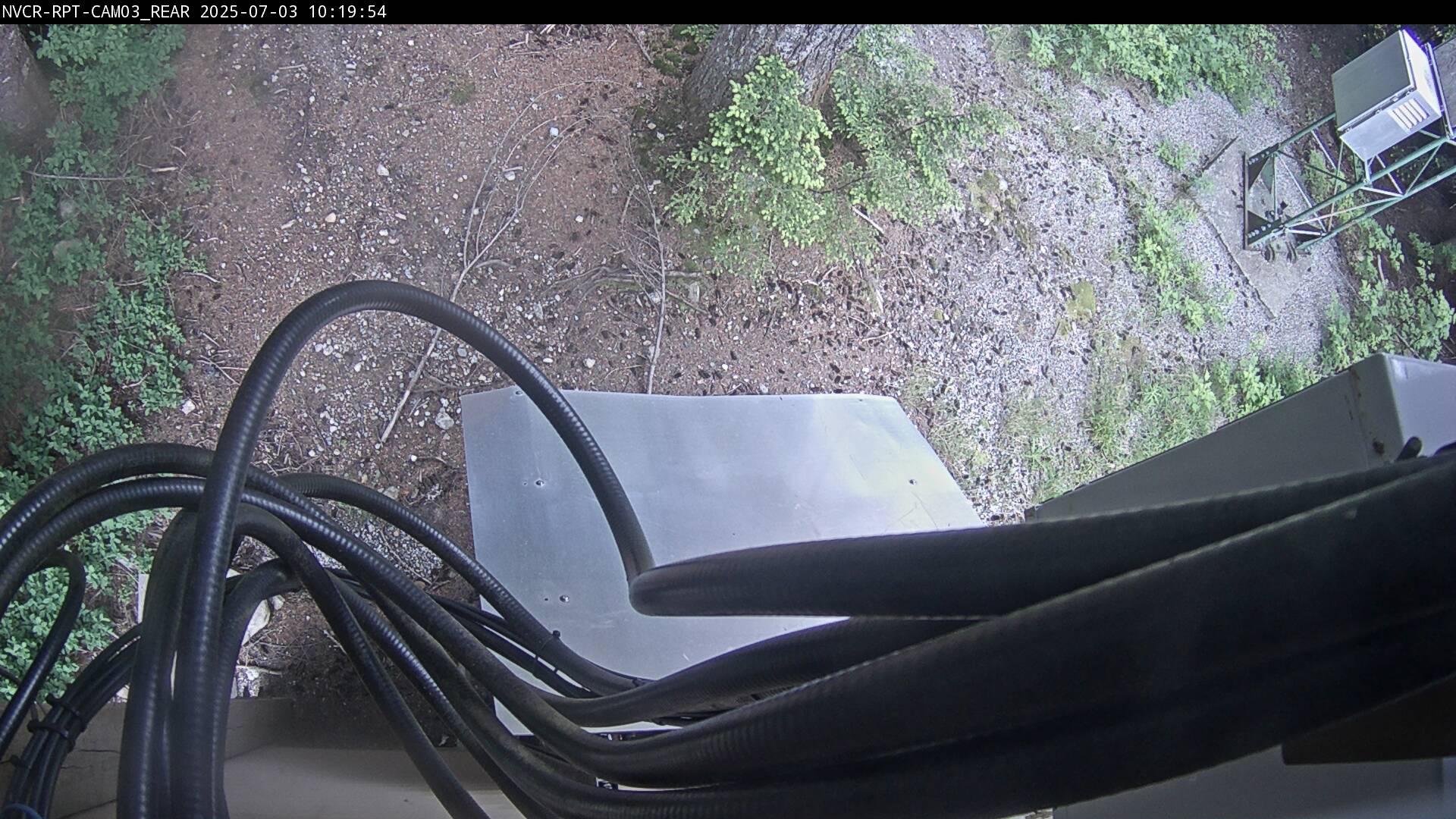 Web Cam History Image - 240