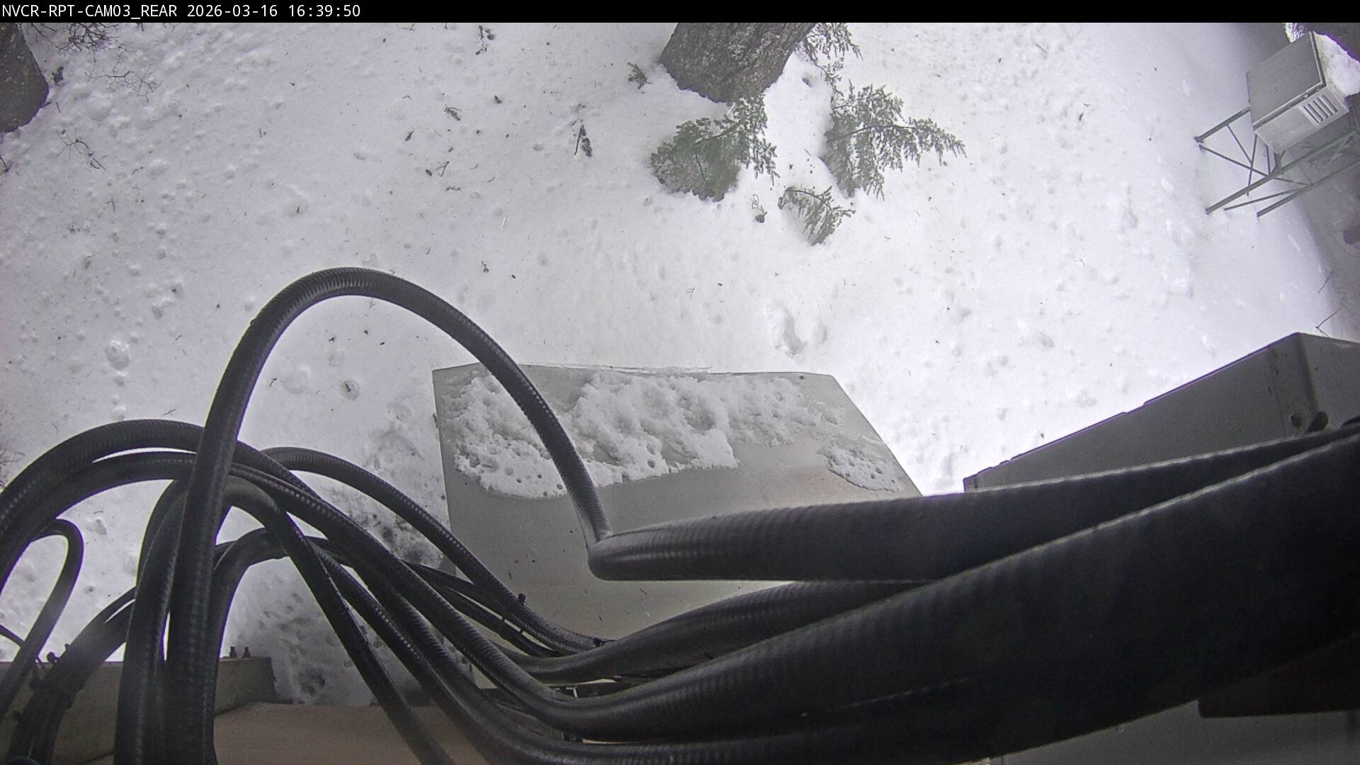 Web Cam History Image - 240