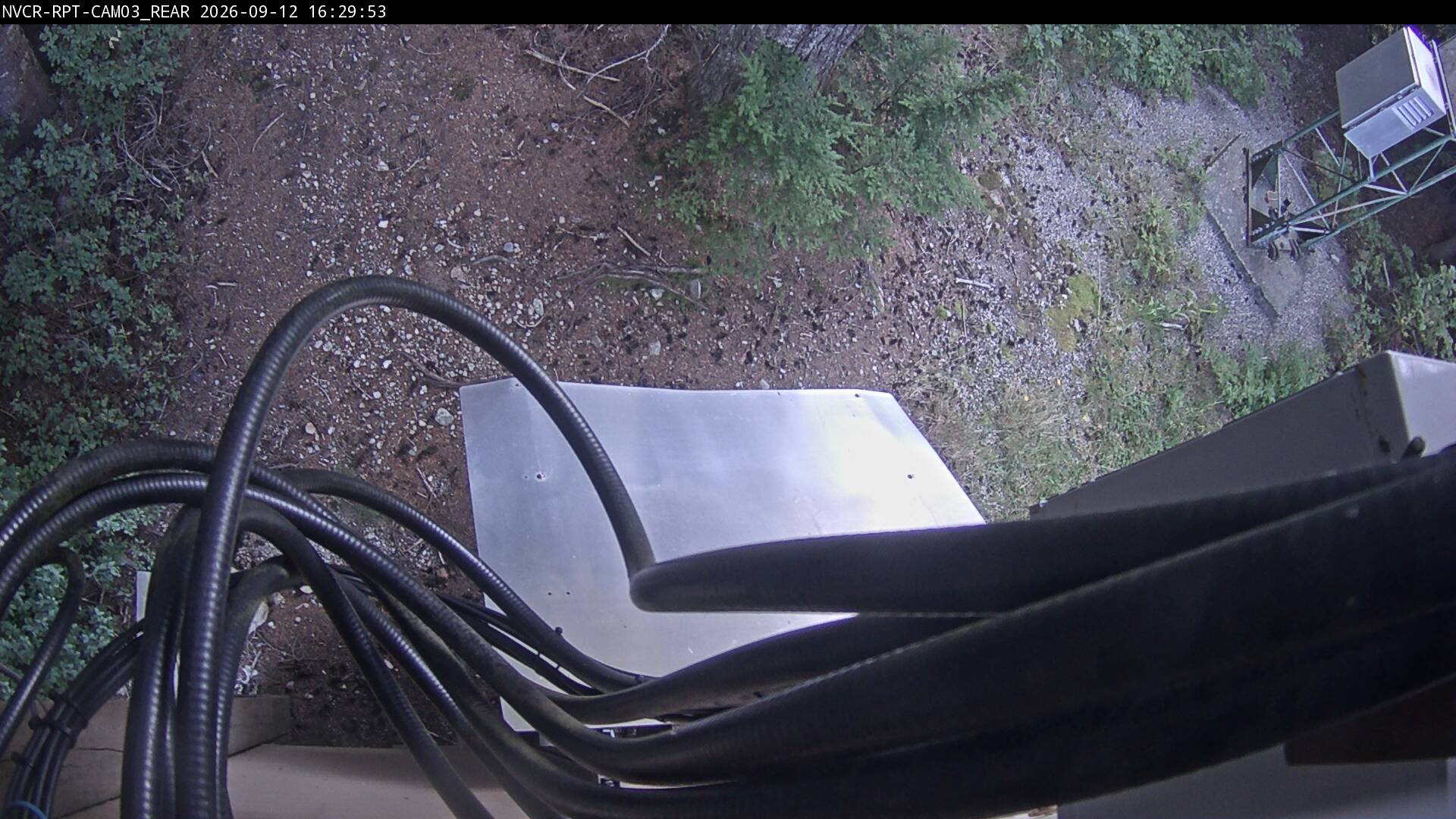 Web Cam History Image - 240