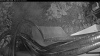 Web Cam Image - Mon, 07/27/2026 7:54pm PDT