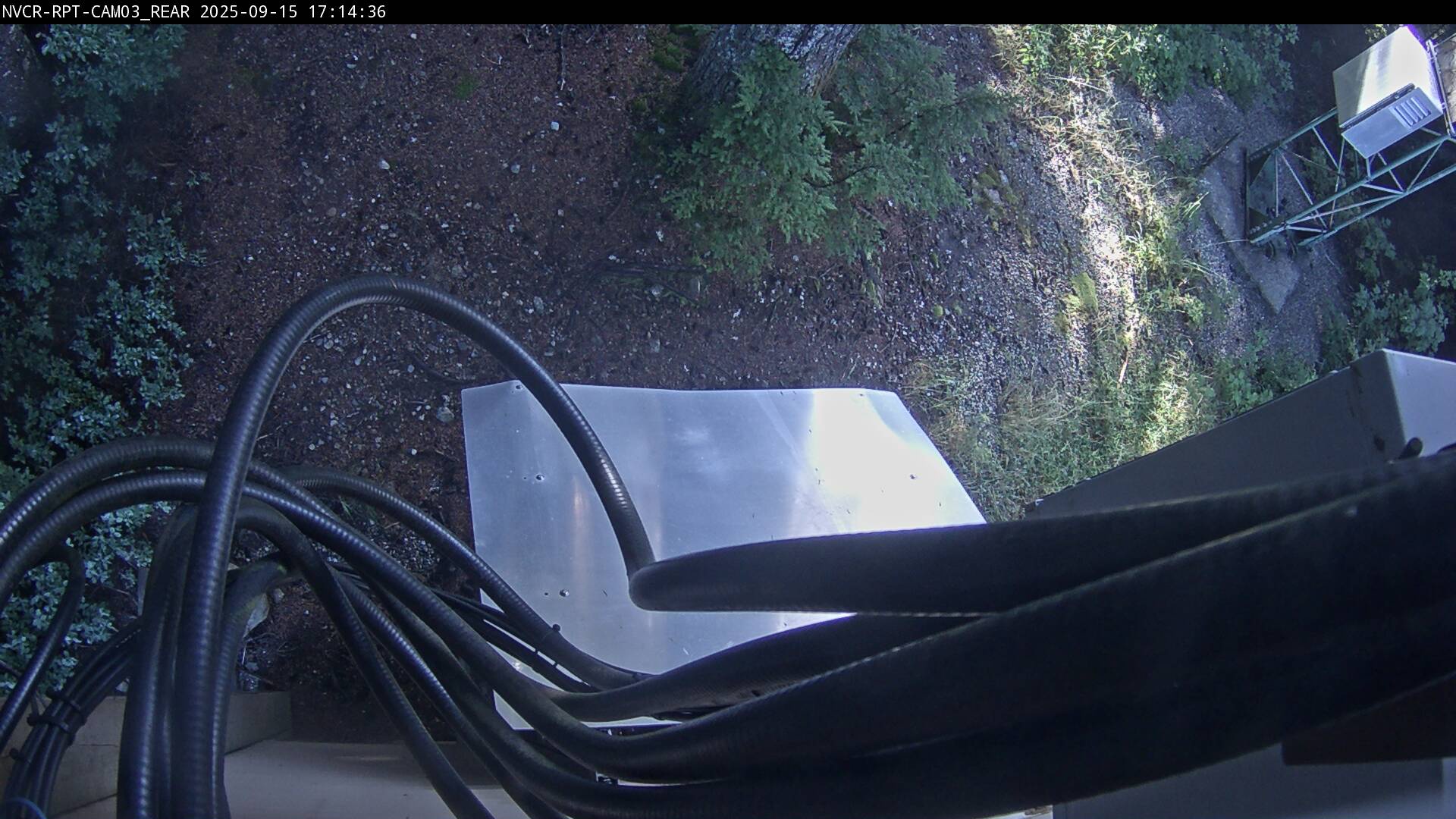 Web Cam History Image - 25