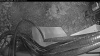 Web Cam Image - Wed, 05/13/2026 6:54pm PDT